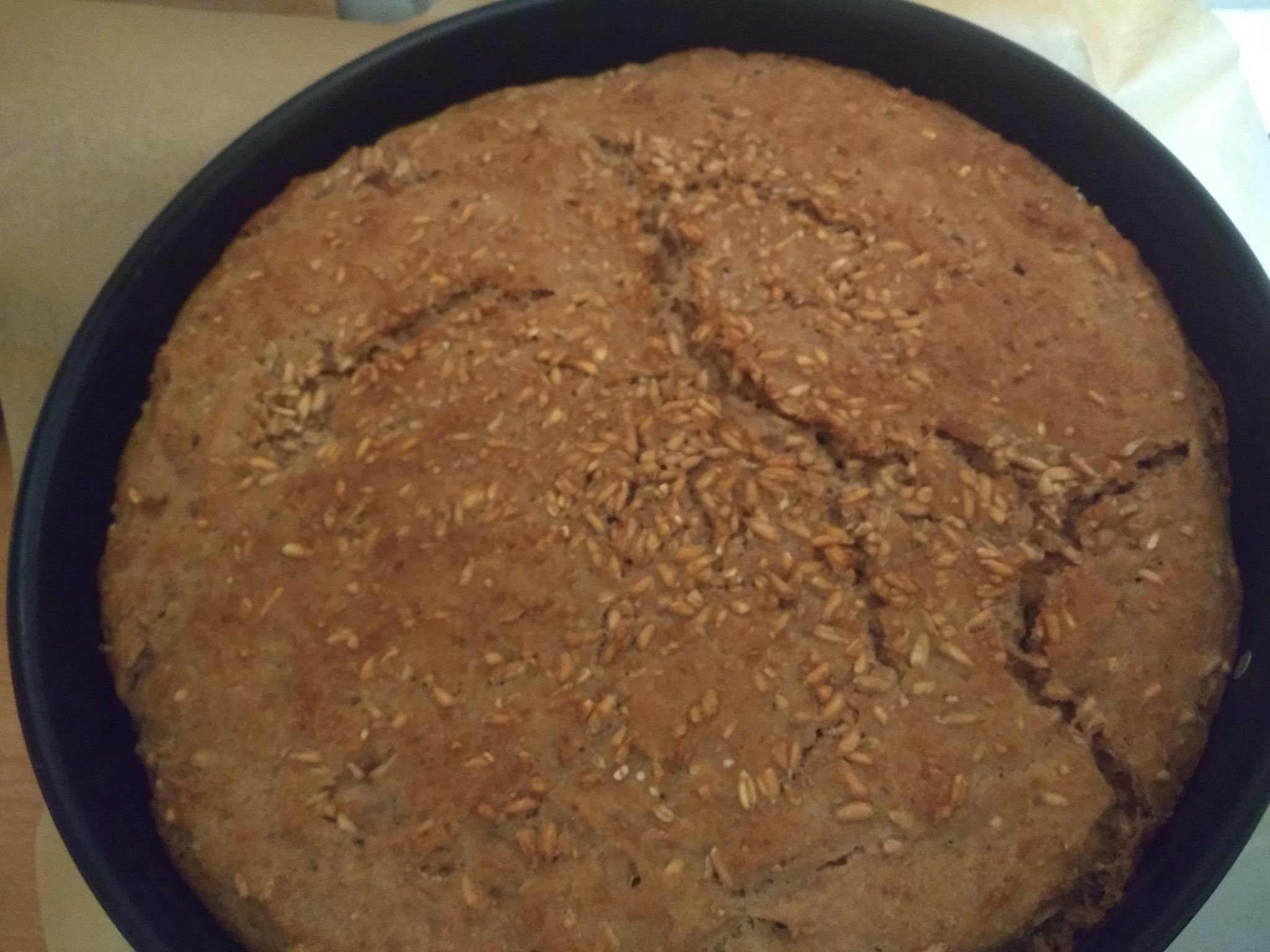 49676438_283522009031628_1908299260042936320_n